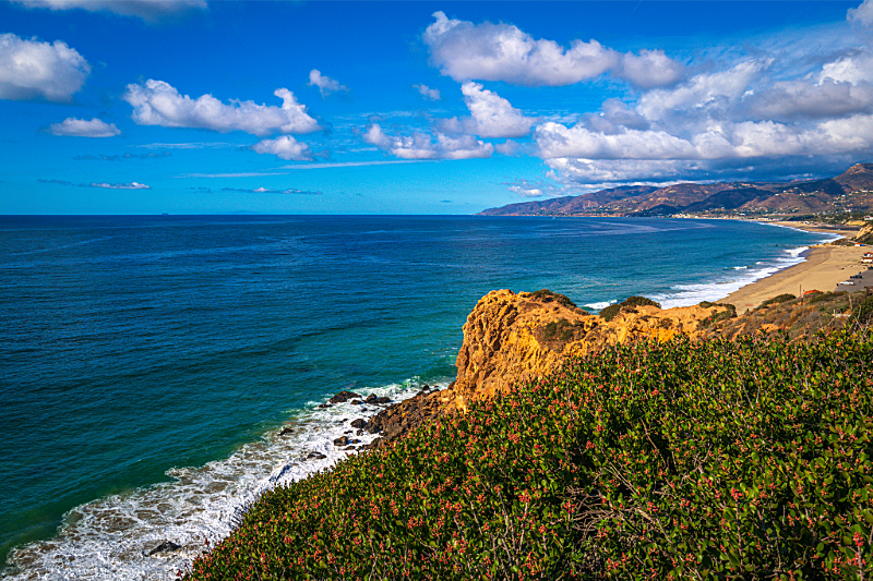 Shoreline Spotlight - How a Kelp Forest Became California's Underwater Superhero