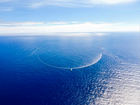 Shoreline Spotlight: The Great Ocean Cleanup That’s Actually Working
