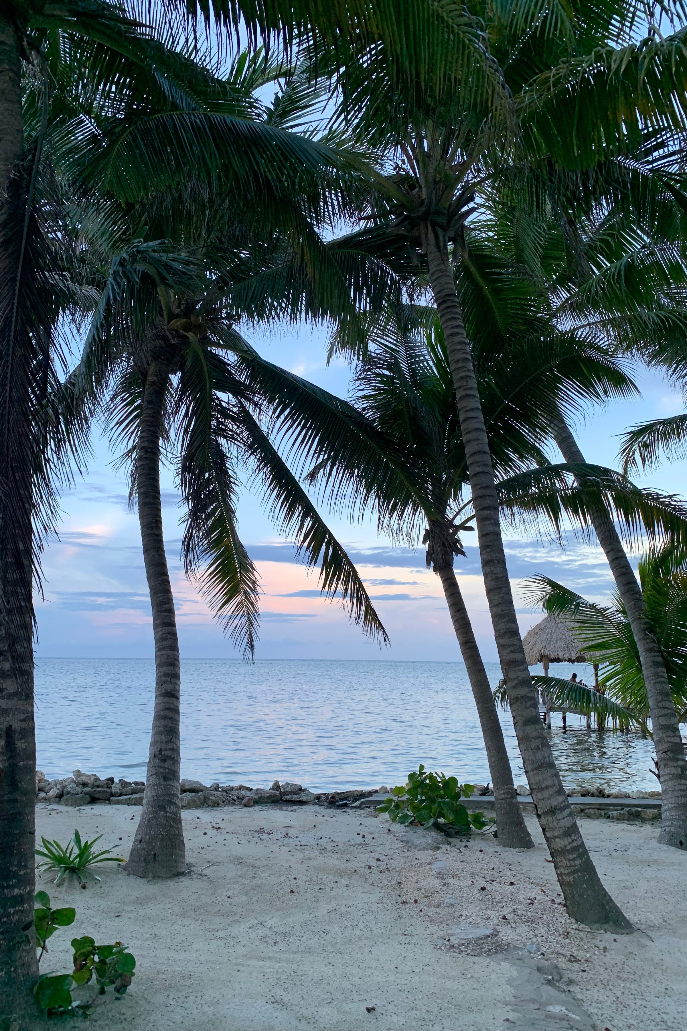 San Pedro, Belize